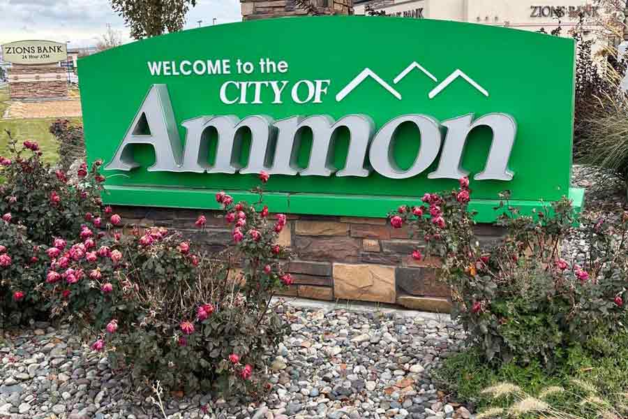 Ammon